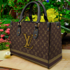 Limited Edition LOUIS VUITTON LEATHER HANDBAG Luxury Brand W77-TDP0410C72