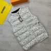 Premium LV Sleeveless Down Jacket NMC0527NVH04 NMN64199