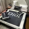Premium Dior Bedding Set SJT-TDP1010C89