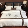 Premium Hermes Bedding Set SJT-TDP1010C96